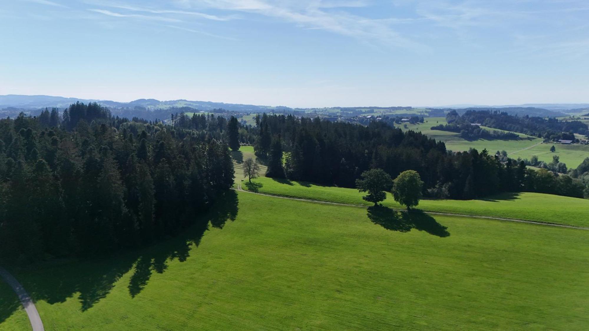 Altensberger Hof Gestratz المظهر الخارجي الصورة